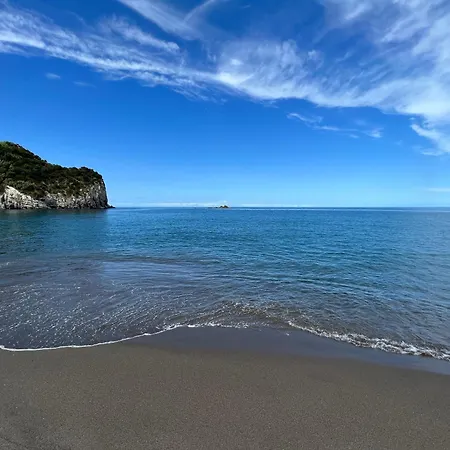 Super Mario - Casa Dos Moinhos * Porto Formoso