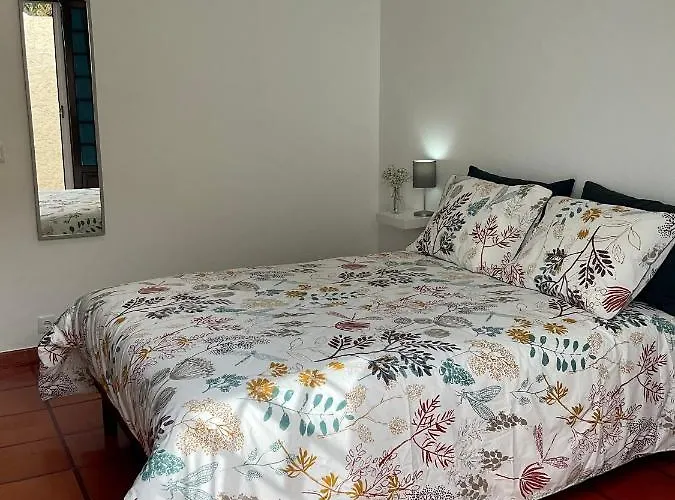 Super Mario - Casa Dos Moinhos