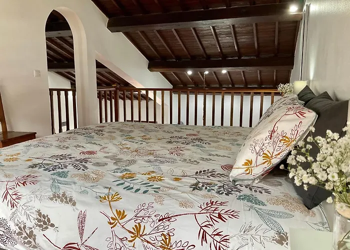 Super Mario - Casa Dos Moinhos *