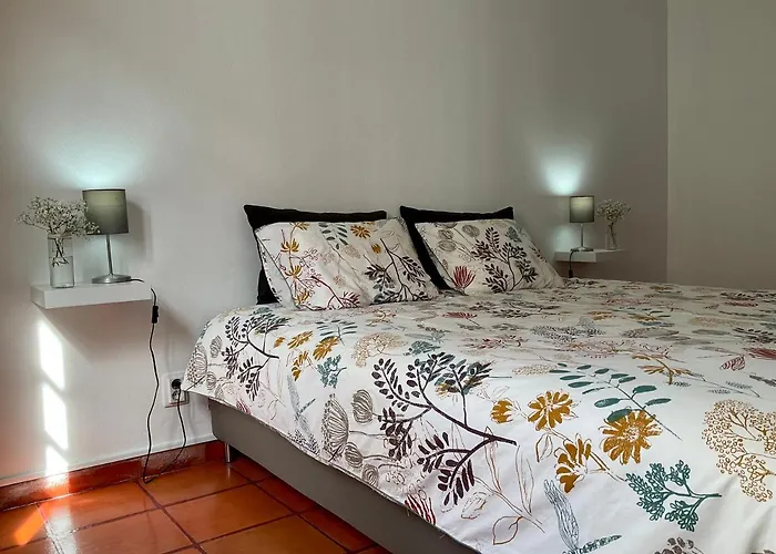 Super Mario - Casa Dos Moinhos *