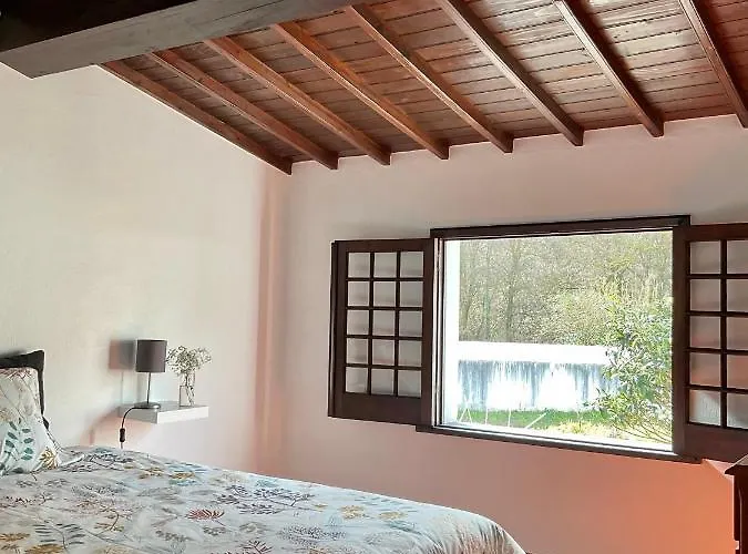 Super Mario - Casa Dos Moinhos * Porto Formoso