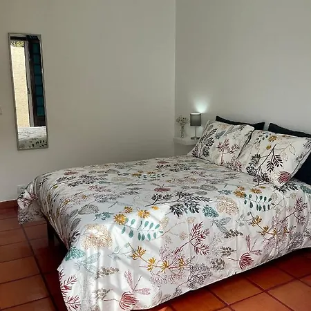 Super Mario - Casa Dos Moinhos