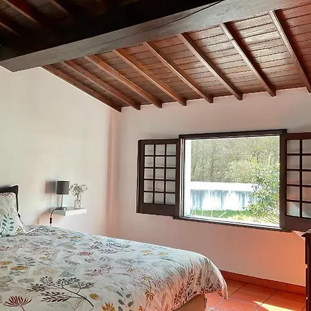 Super Mario - Casa Dos Moinhos * Porto Formoso