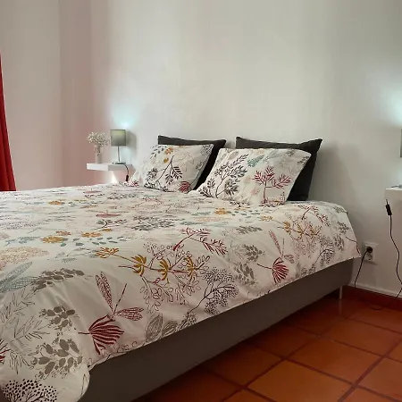 Super Mario - Casa Dos Moinhos